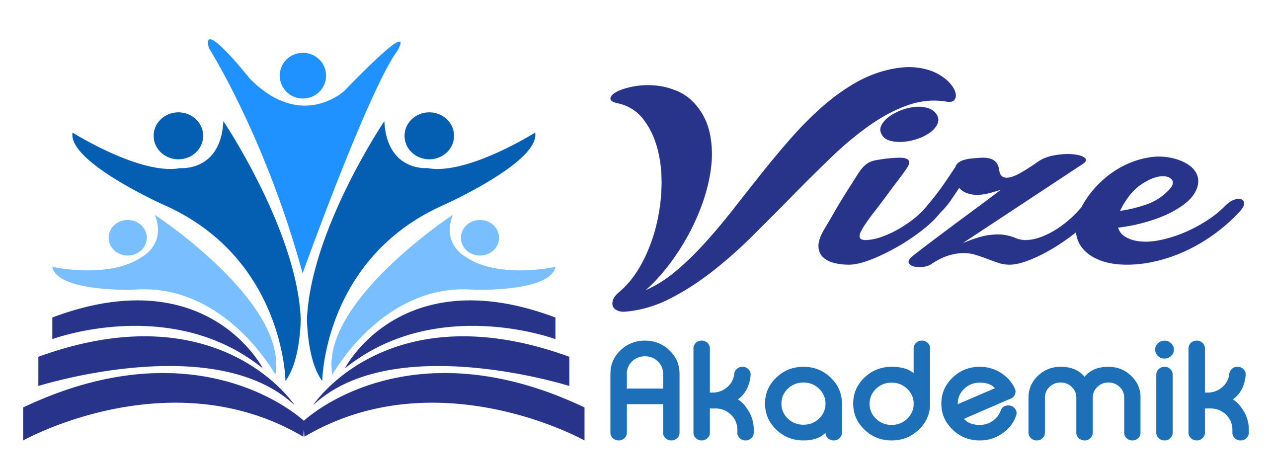 VİZEAKADEMİK LOGO